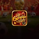 6PPP Game
